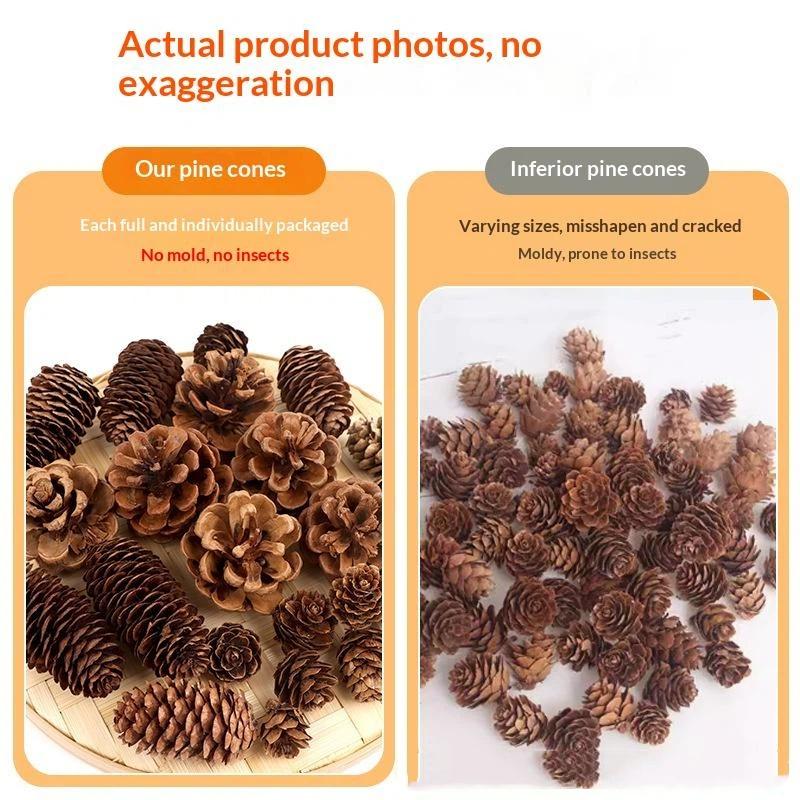 Natuurlijke Gedroogde Dennenap - Dried Flower Bulk recensie en prijs