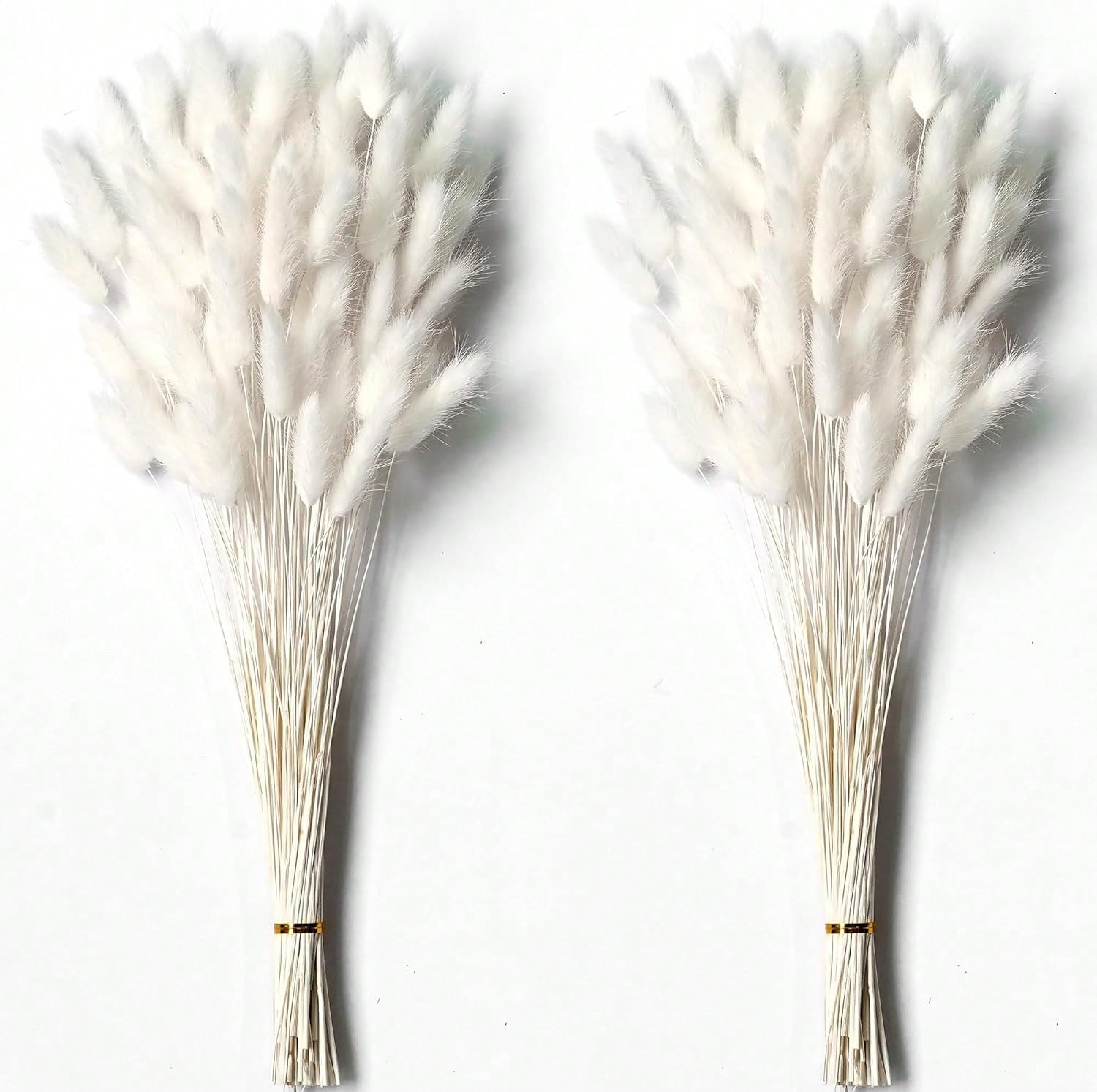 120 stuks gedroogd pampasgras  - Dried Flower Bulk recensie en prijs
