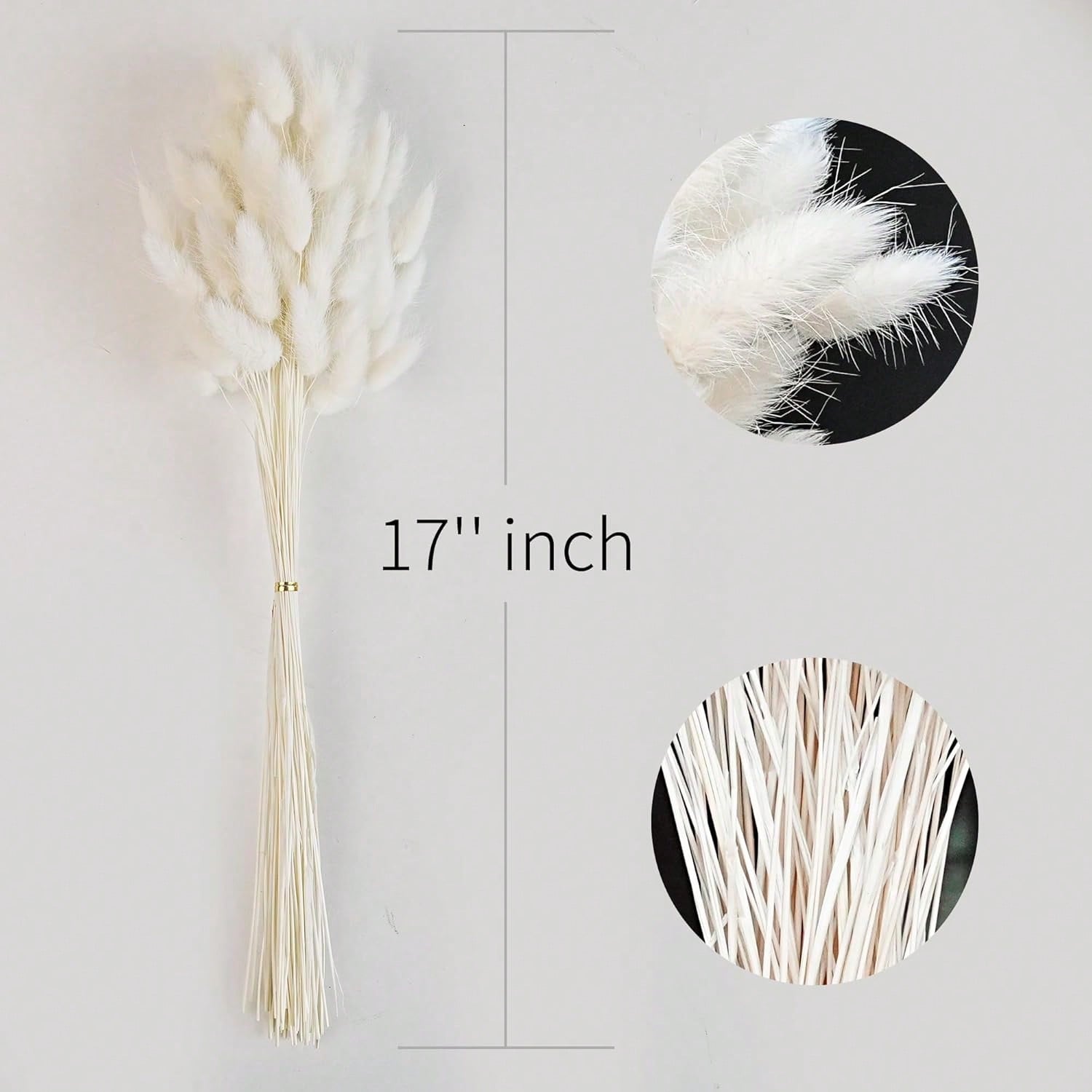 120 stuks gedroogd pampasgras  - Dried Flower Bulk recensie en prijs