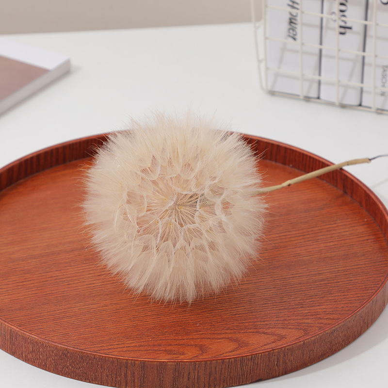 Gedroogde paardenbloem DIY epo - Resin Crafts Diy recensie en prijs