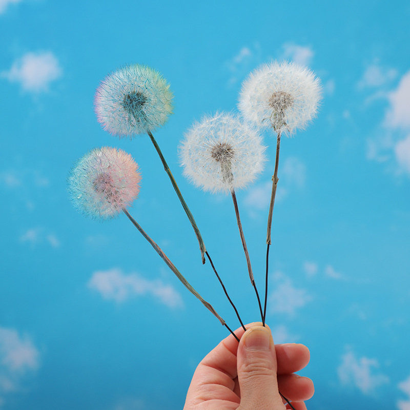 Gedroogde paardenbloem DIY epo - Resin Crafts Diy recensie en prijs